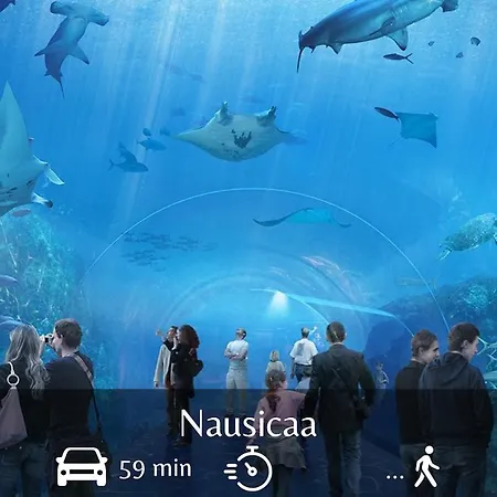 L'ecrin De Malo - Vue Lägenhet *